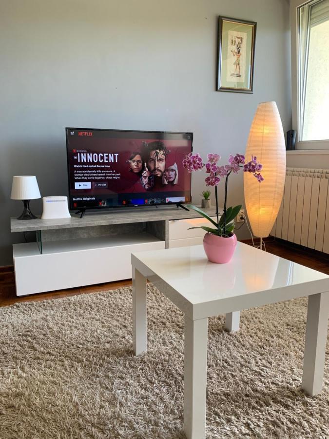 Sunkissed Apartment Belgrad Zewnętrze zdjęcie
