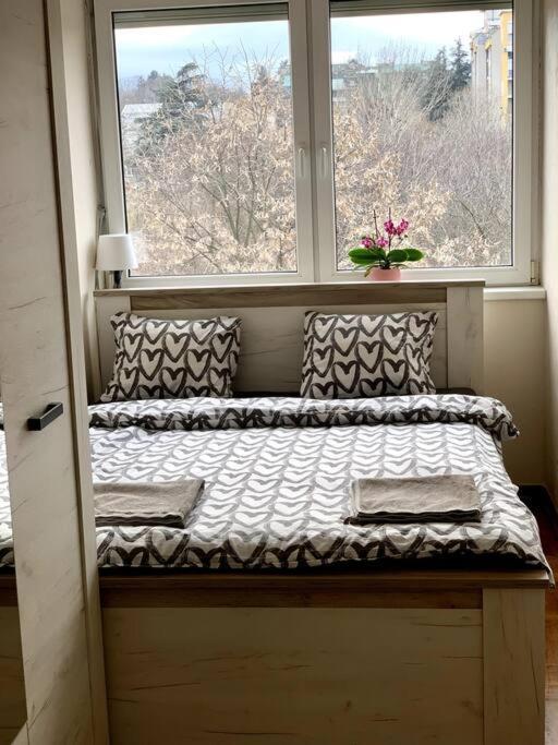 Sunkissed Apartment Belgrad Zewnętrze zdjęcie