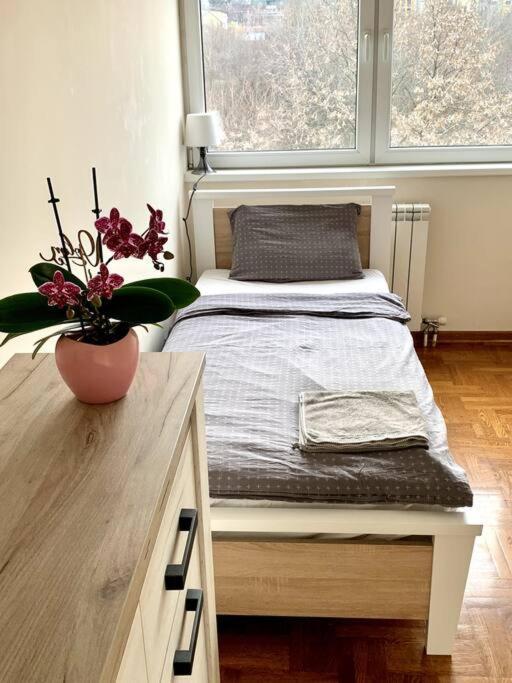 Sunkissed Apartment Belgrad Zewnętrze zdjęcie